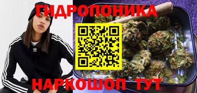 дурь Усть-Джегута